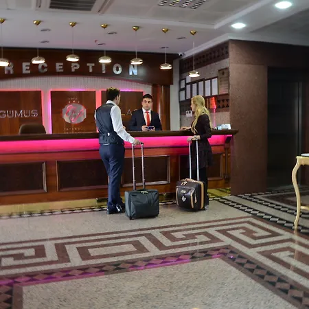 Hotel Gumus Palace Istanboel