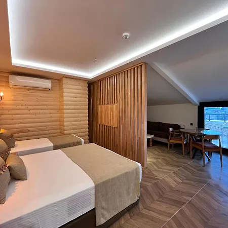 Gumus Palace Hotel 4*