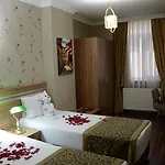 Hotel Gumus Palace