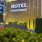 Hotel Gumus Palace