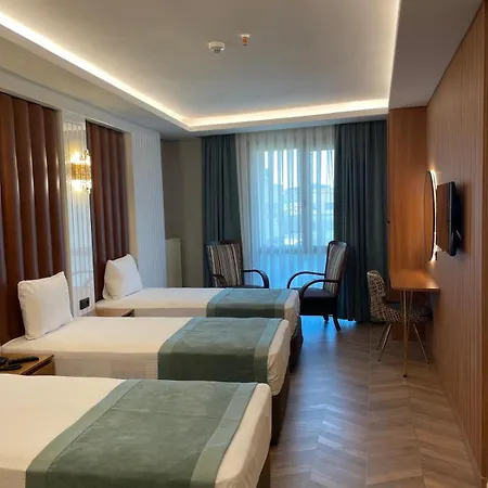 فندق Gumus Palace