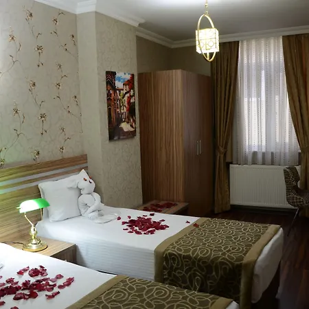 فندق Gumus Palace