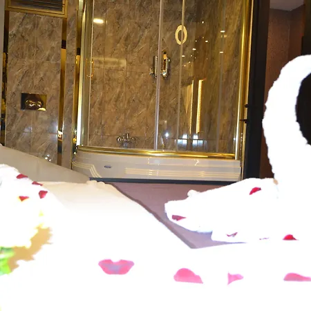 فندق Gumus Palace