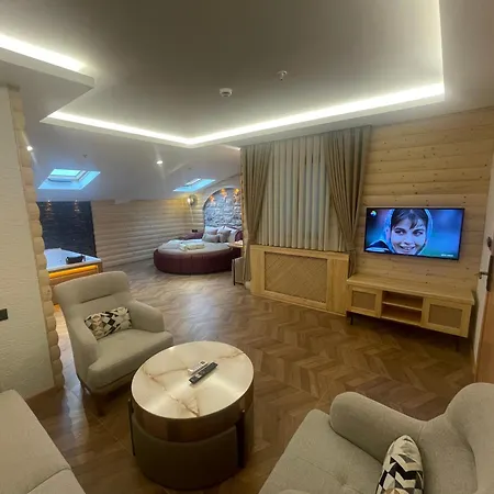 Gumus Palace فندق