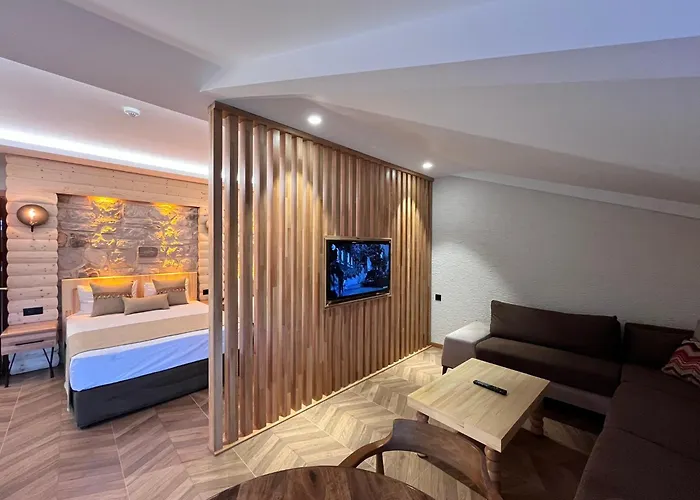 Hotel Gumus Palace Stambuł