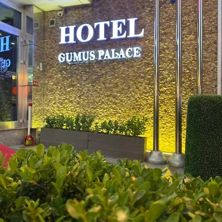 ホテル Gumus Palace