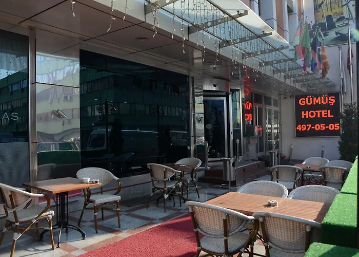 Gumus Palace 4* Стамбул