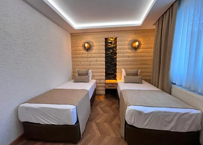 Отель Gumus Palace 4*